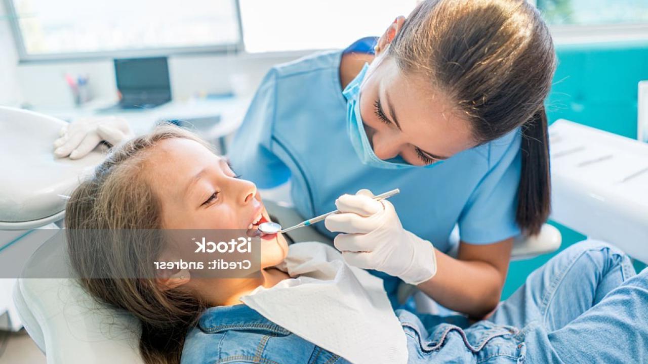 Pre-Dentistry Stock Photo